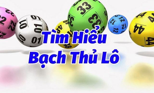 bạch thủ lô đạt hiệu quả cao